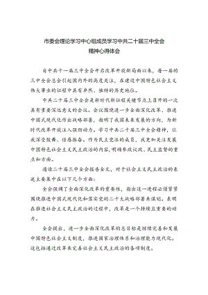 市委会理论学习中心组成员学习中共二十届三中全会精神心得体会（共8篇）.docx