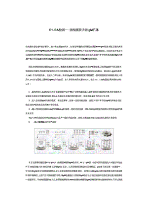 ELISA检测.docx