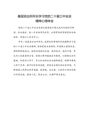 基层派出所所长学习党的二十届三中全会精神心得体会范文.docx
