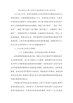 审计局2024年上半年工作总结和下半年工作计划.docx