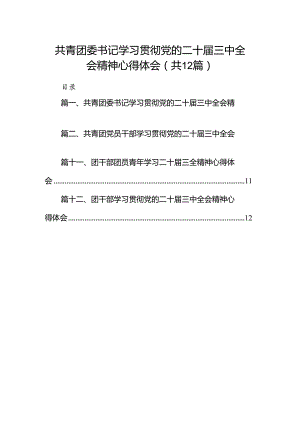 共青团委书记学习贯彻党的二十届三中全会精神心得体会12篇（精选）.docx
