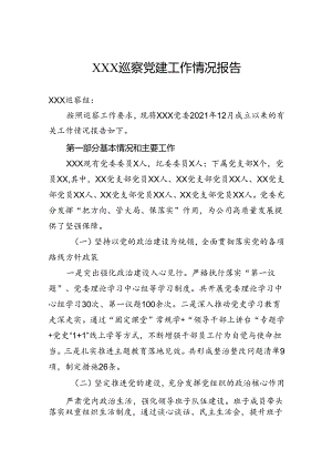 巡察党建工作情况报告.docx