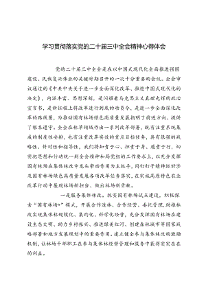3篇 2024年学习贯彻落实党的二十届三中全会精神心得体会.docx