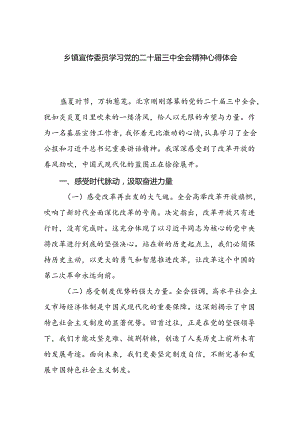乡镇宣传委员学习党的二十届三中全会精神研讨发言心得体会.docx