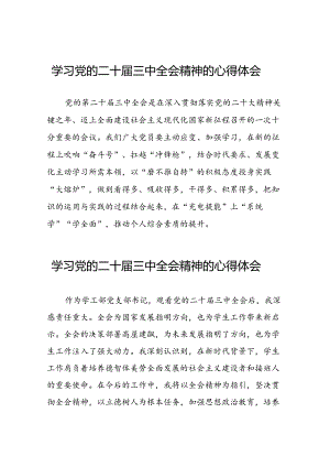 学习党的二十届三中全会精神的心得体会二十篇.docx
