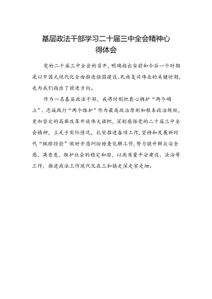 基层政法干部学习二十届三中全会精神心得体会.docx