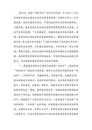 以扎实的基层党组织建设引领乡村高质量发展讲稿.docx
