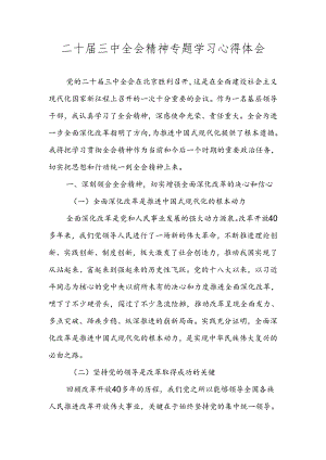 2024年党的二十届三中全会精神专题学习心得体会.docx
