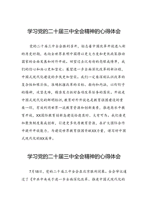 2024年二十届三中全会精神学习体会发言稿四十四篇.docx