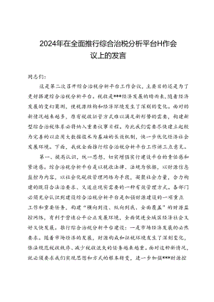 2024年在全面推行综合治税分析平台工作会议上的发言.docx
