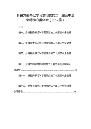 乡镇党委书记学习贯彻党的二十届三中全会精神心得体会 （汇编12份）.docx