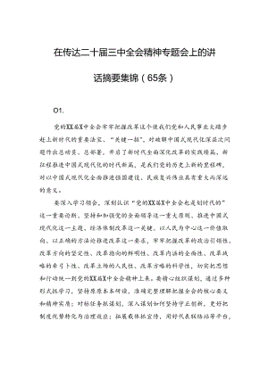 在传达二十届三中全会精神专题会上的讲话摘要集锦（65条）.docx
