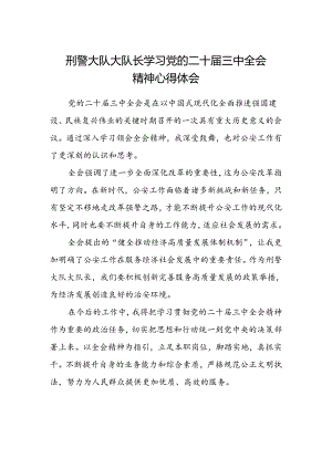 刑警大队大队长学习党的二十届三中全会精神心得体会.docx