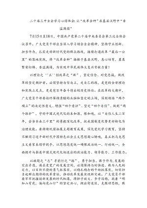 二十届三中全会学习心得体会 10篇.docx