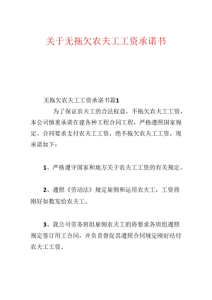 关于无拖欠农民工工资承诺书.docx