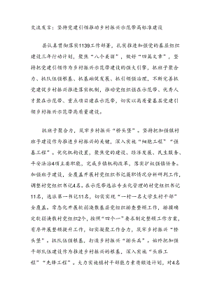 交流发言：坚持党建引领推动乡村振兴示范带高标准建设 .docx