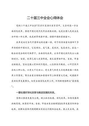 二十届三中全会心得体会1.docx