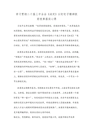 学习贯彻二十届三中全会《决定》以钉钉子精神抓好改革落实心得.docx