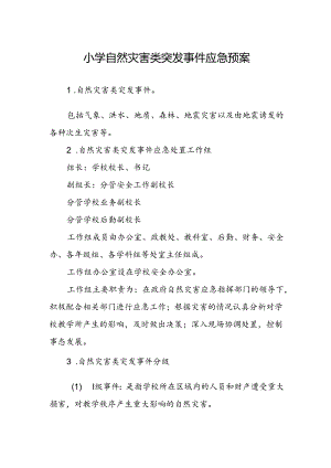 小学自然灾害类突发事件应急预案.docx
