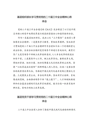 基层组织部长学习贯彻党的二十届三中全会精神心得体会5篇（最新版）.docx