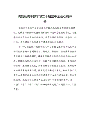 统战系统干部学习二十届三中全会心得体会.docx