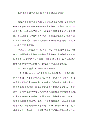 能源石化系统领导党员干部学习党的二十届三中全会精神心得体会研讨发言.docx