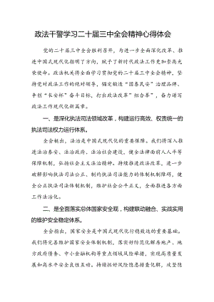 政法干警学习二十届三中全会精神心得体会.docx