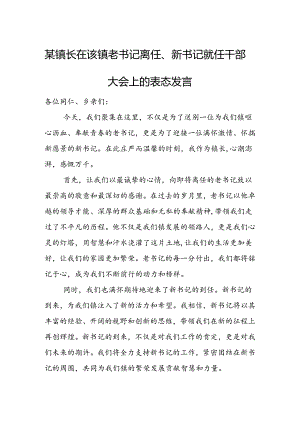 某镇长在该镇老书记离任、新书记就任干部大会上的表态发言.docx