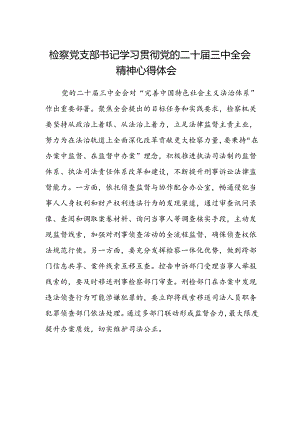 检察党支部书记学习贯彻党的二十届三中全会精神心得体会.docx