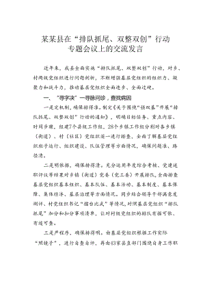 某某县在“排队抓尾、双整双创”行动专题会议上的交流发言.docx
