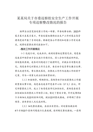 某某局关于市委巡察组安全生产工作开展专项巡察整改情况的报告.docx