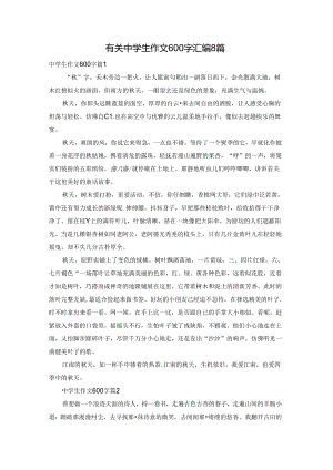 有关中学生作文600字汇编8篇.docx