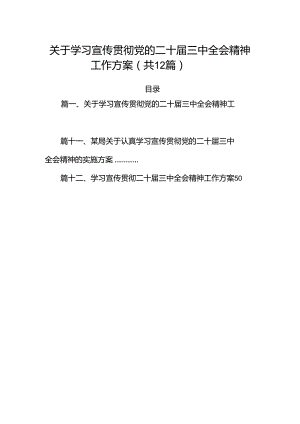 （12篇）关于学习宣传贯彻党的二十届三中全会精神工作方案范文.docx
