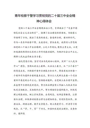 青年检察干警学习贯彻党的二十届三中全会精神心得体会.docx