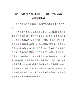 派出所负责人学习党的二十届三中全会精神心得体会.docx