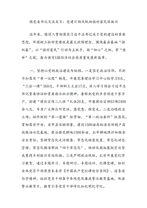镇党委书记交流发言：党建引领风帆劲强村富民促振兴.docx
