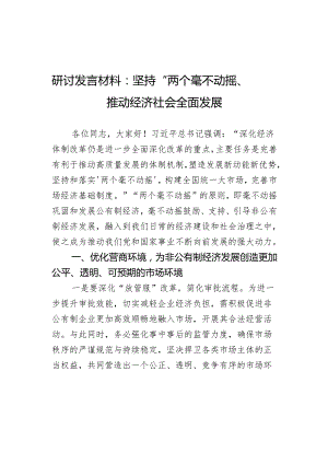 研讨发言材料坚持两个毫不动摇推动经济社会全面发展心得体会.docx