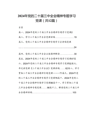 （12篇）2024年党的二十届三中全会精神专题学习党课集合.docx