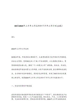 （2篇）XX镇2024年上半年工作总结和下半年工作计划.docx