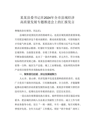 某某县委书记在2024年全市县域经济高质量发展专题推进会上的汇报发言.docx