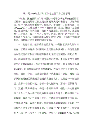 统计局2024年上半年工作总结及下步工作思路.docx
