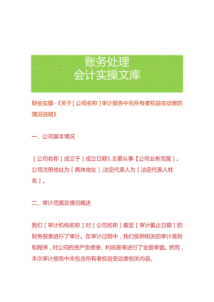 财会实操-《公司审计报告中无所有者权益变动表的情况说明》.docx