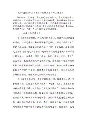 统计局2024年上半年工作总结及下半年工作思路.docx