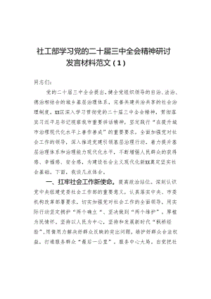 社工部学习三中全会精神研讨发言材料2篇.docx