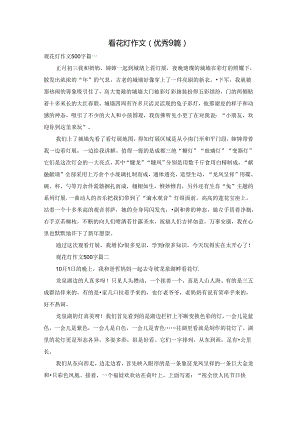 看花灯作文（优秀9篇）.docx