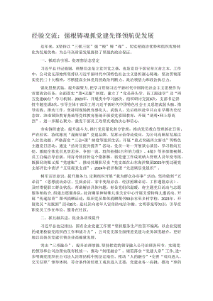 经验交流：强根铸魂抓党建 先锋领航促发展.docx