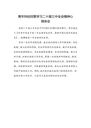 青年刑侦民警学习二十届三中全会精神心得体会.docx