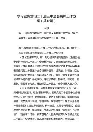 （12篇）学习宣传贯彻二十届三中全会精神工作方案汇编.docx