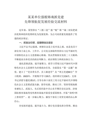 某某单位强根铸魂抓党建先锋领航促发展经验交流材料.docx