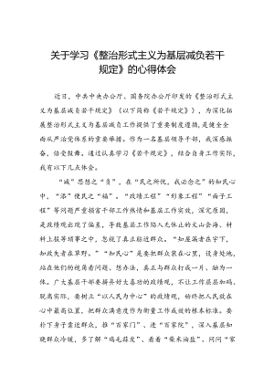 关于《整治形式主义为基层减负若干规定》的学习感悟9篇.docx
